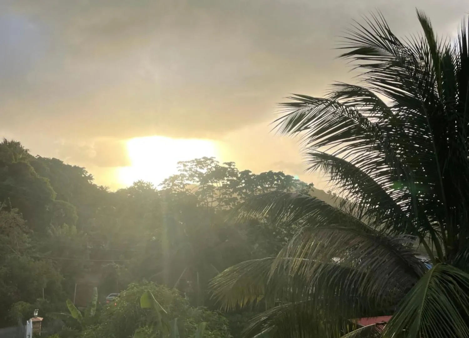 Hotel Tropical Harbour View Monchy Penzion
